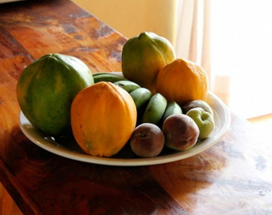 Finca Dona Juana Los Realejos Kültér fotó